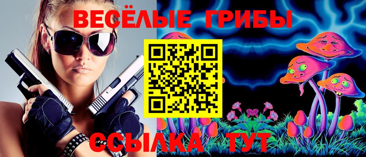 купить  цена  Галлюциногенные грибы MAGIC MUSHROOMS  Вход с VPN  Магадан 