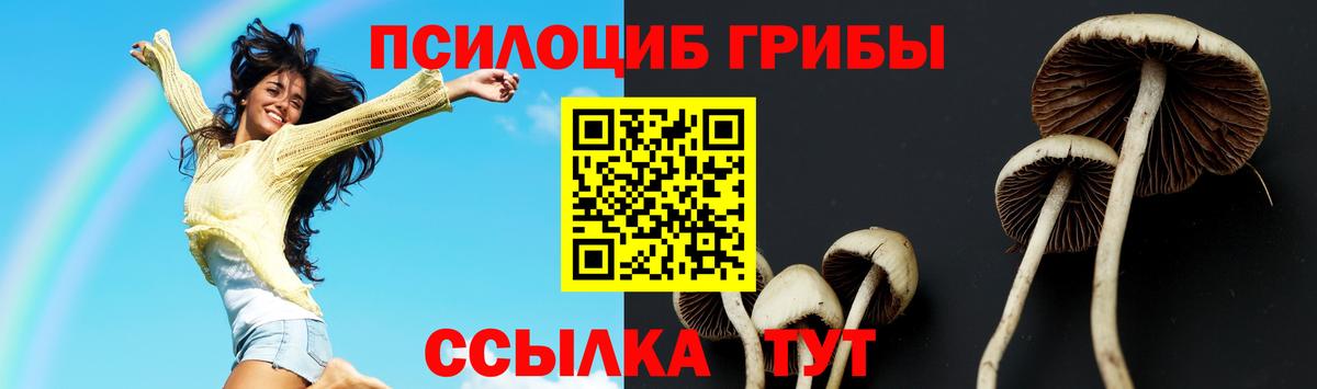 Псилоцибиновые грибы Cubensis Магадан